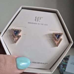 Chic Rose Gold and Blue Chevron Earrings